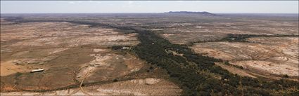 Wonaminta Station - NSW (PBH4 00 9155)